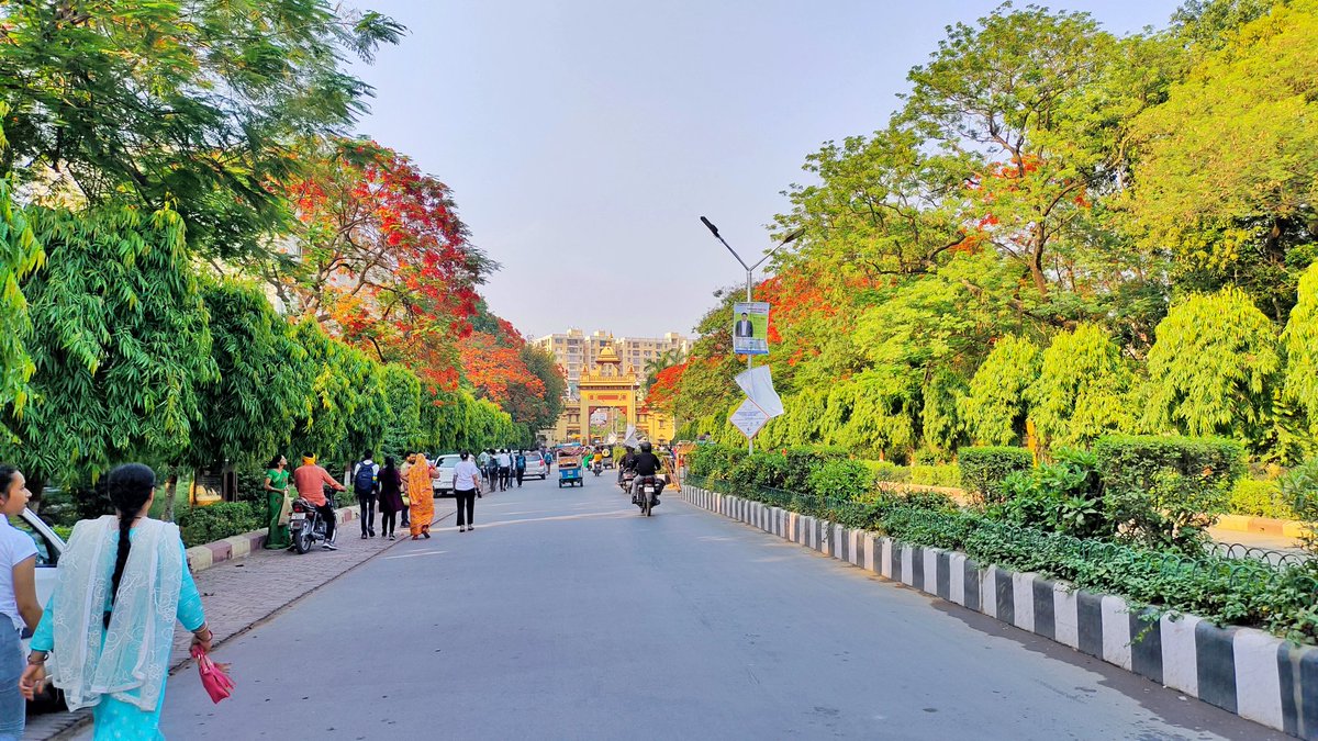 StrollerSpirit's tweet photo. Springtime in Banaras Hindu University is a sight to behold! The vibrant colors of the blooming trees bring a new life to the campus in April and May. #BHU #SpringtimeBeauty #ColorfulCampus πΈπ³πΌ https://t.co/kTJnZcZO7p