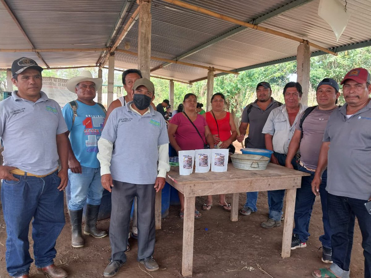 Raul_PaulinH's tweet photo. Gracias a las cosechas de las parcelas de las y los productores👩🏻‍🌾🧑🏻‍🌾 de #SembrandoVida, #hoy en la región sur de #Veracruz se elaboran  bebidas ancestrales como el pinole de #maíz 🌽con #cacao. #ProducirYTransformar https://t.co/O7xv6ZdaGq