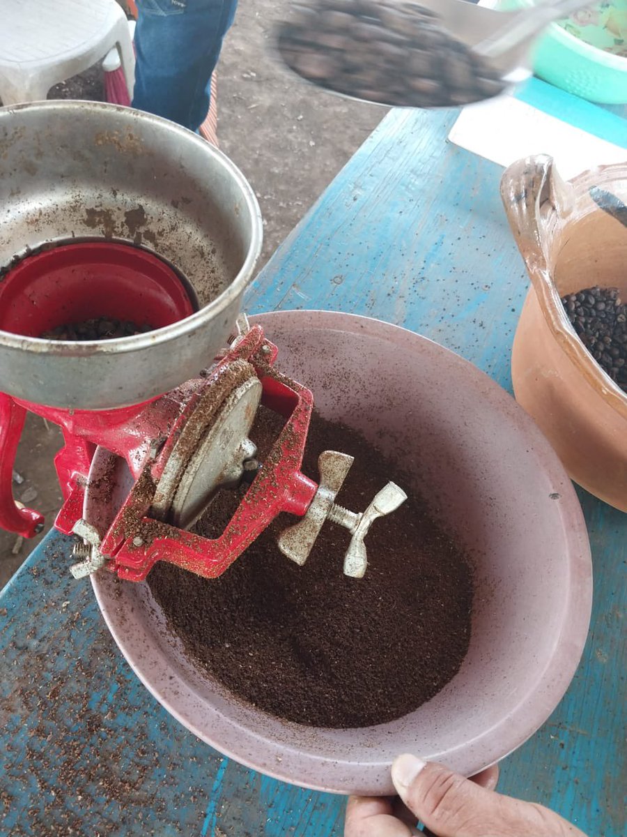 Raul_PaulinH's tweet photo. Gracias a las cosechas de las parcelas de las y los productores👩🏻‍🌾🧑🏻‍🌾 de #SembrandoVida, #hoy en la región sur de #Veracruz se elaboran  bebidas ancestrales como el pinole de #maíz 🌽con #cacao. #ProducirYTransformar https://t.co/O7xv6ZdaGq