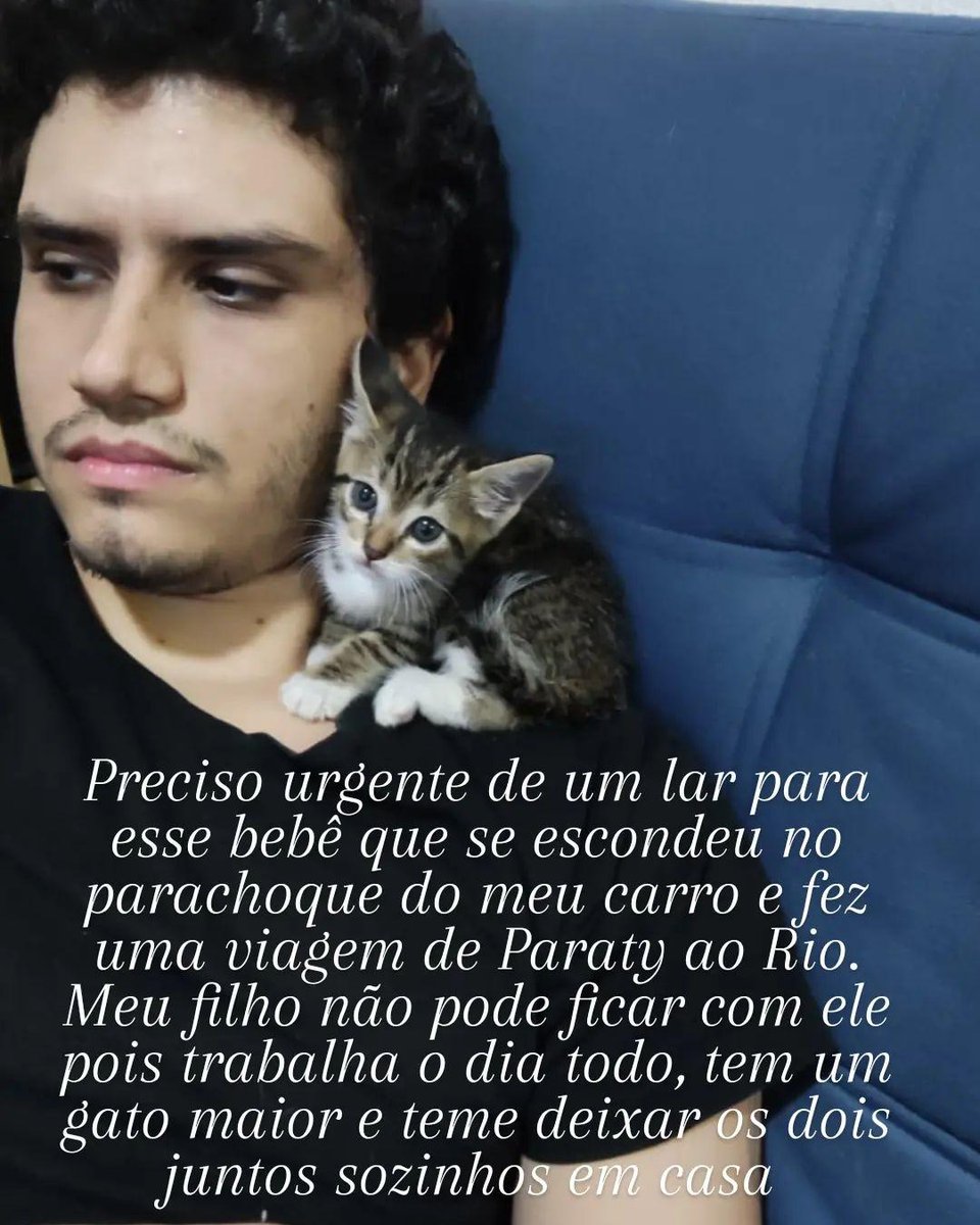 Recefero's tweet photo. Esse bebê precisa de um lar urgente. Ele está na Tijuca/RJ mas levo em qualquer bairro do Rio ou cidades próximas. https://t.co/j39yEqJxPi