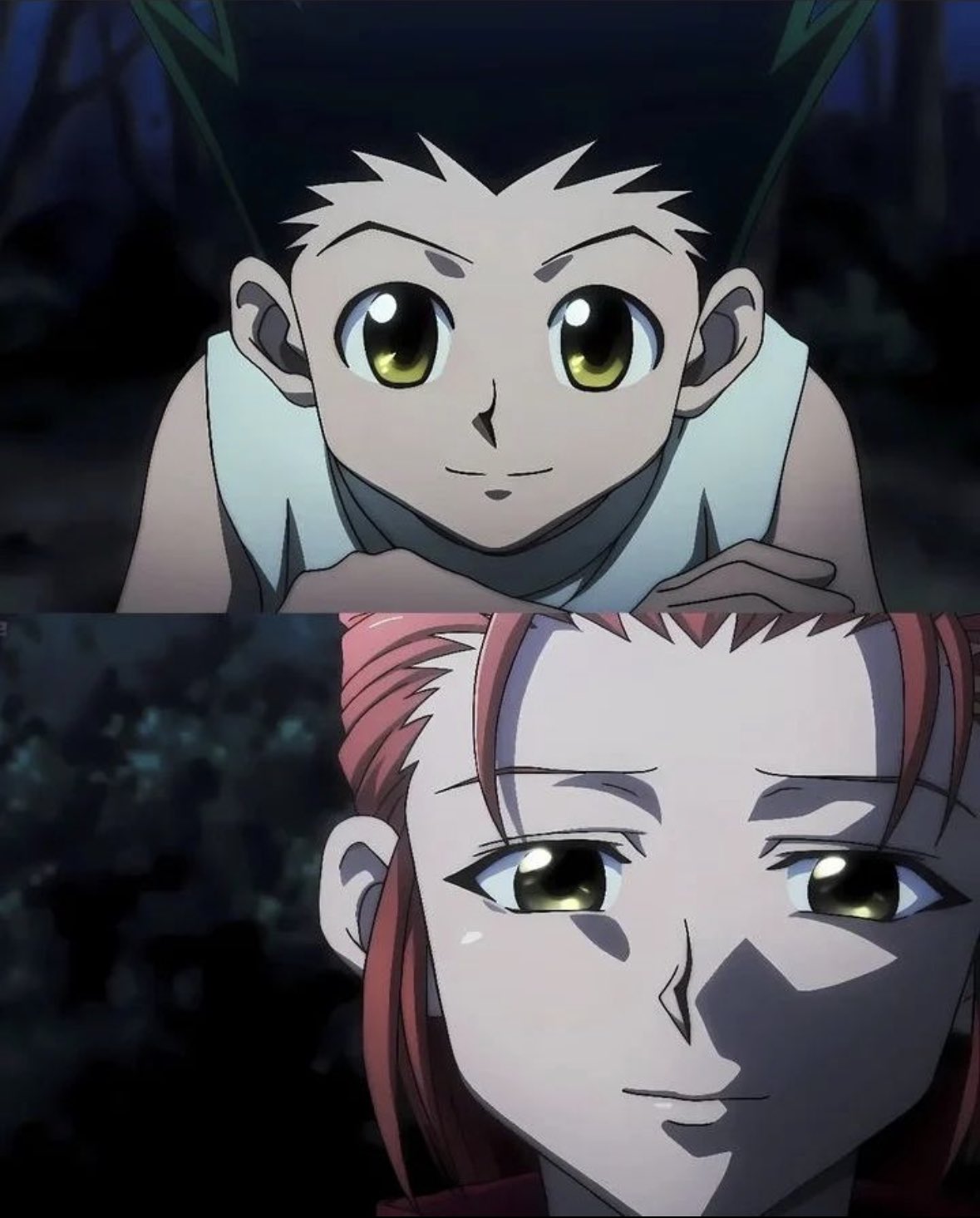 CURIOSIDADES SOBRE HISOKA - hunter x hunter 2011 - Curiosidades de animes 