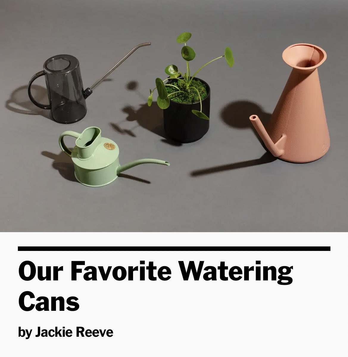 debschleede's tweet photo. Me: I wonder if @wirecutter does reviews for non-electronic or mechanical things…
Wirecutter: https://t.co/rRwSb0MO9X