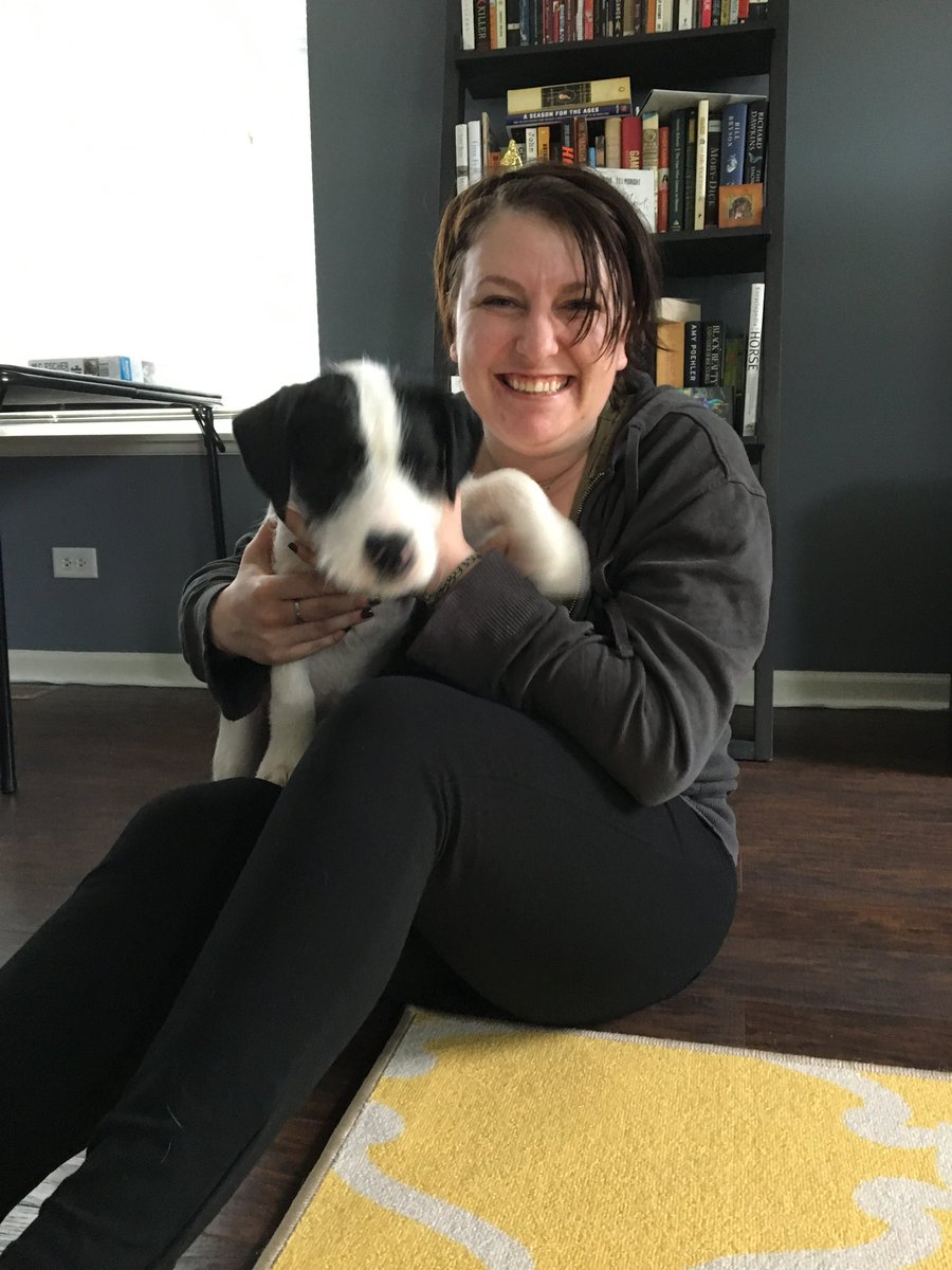 JessBluemke's tweet photo. Happy gotcha day ❤️ #AdoptDontShop #DottieHinson https://t.co/ly8pZgvsNb