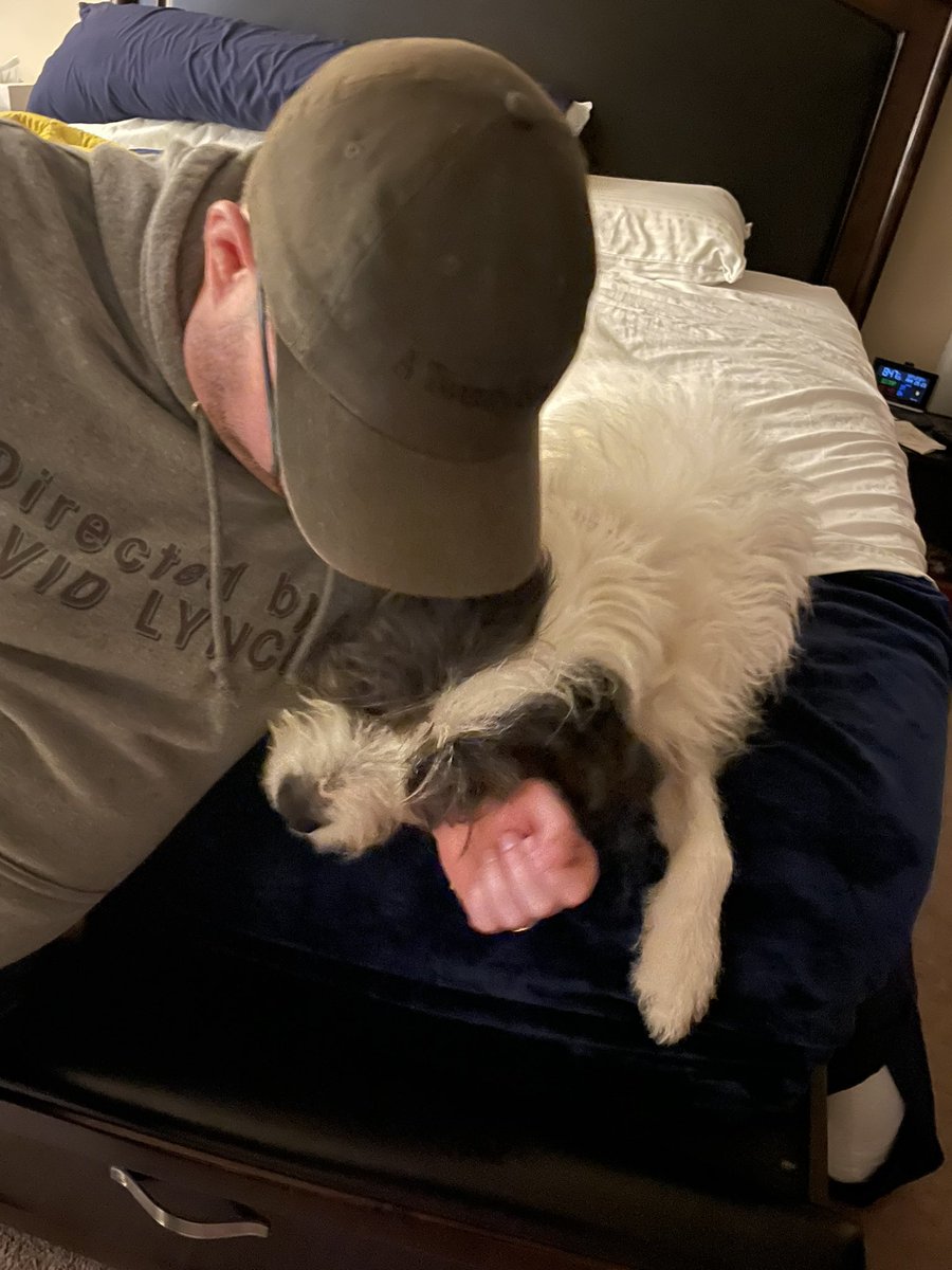 JessBluemke's tweet photo. Happy gotcha day ❤️ #AdoptDontShop #DottieHinson https://t.co/ly8pZgvsNb