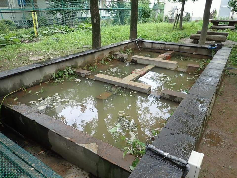 forestthree/ビオトープの中の人 tweet media