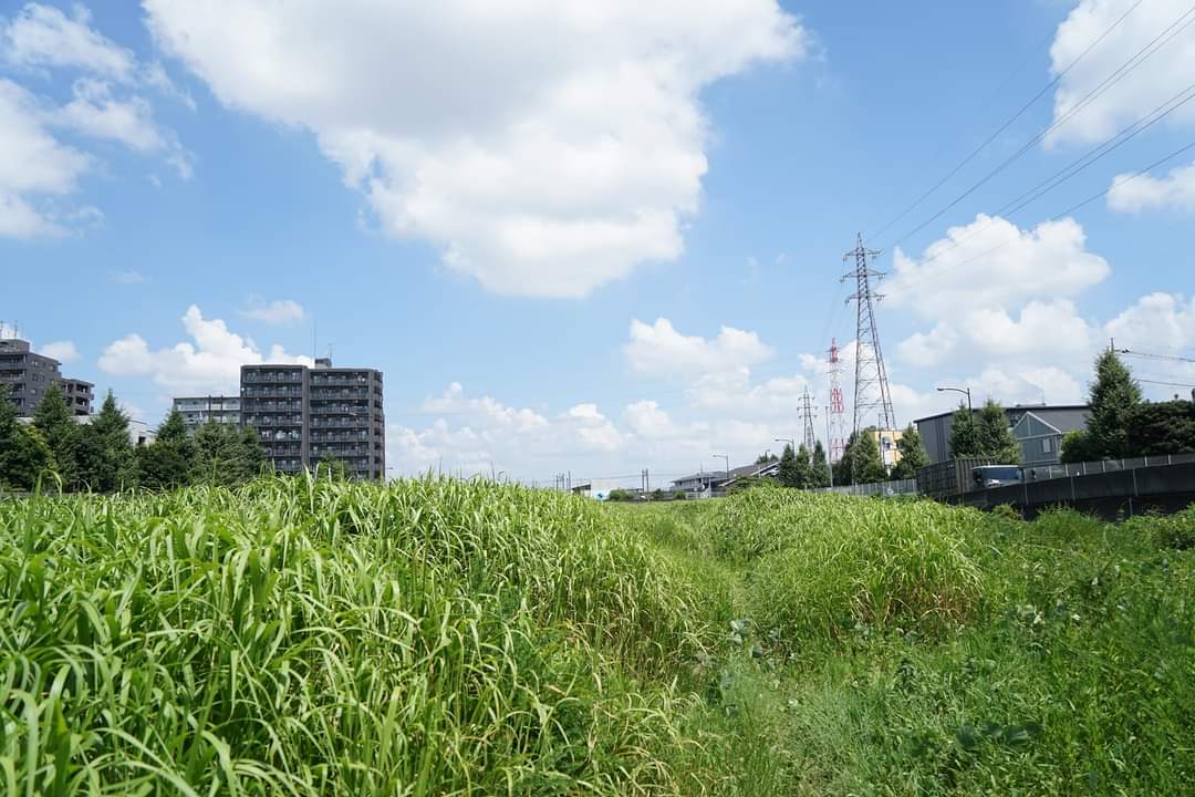 forestthree/ビオトープの中の人 tweet media