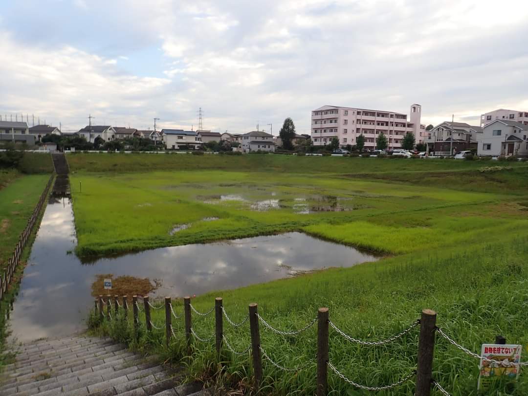 forestthree/ビオトープの中の人 tweet media