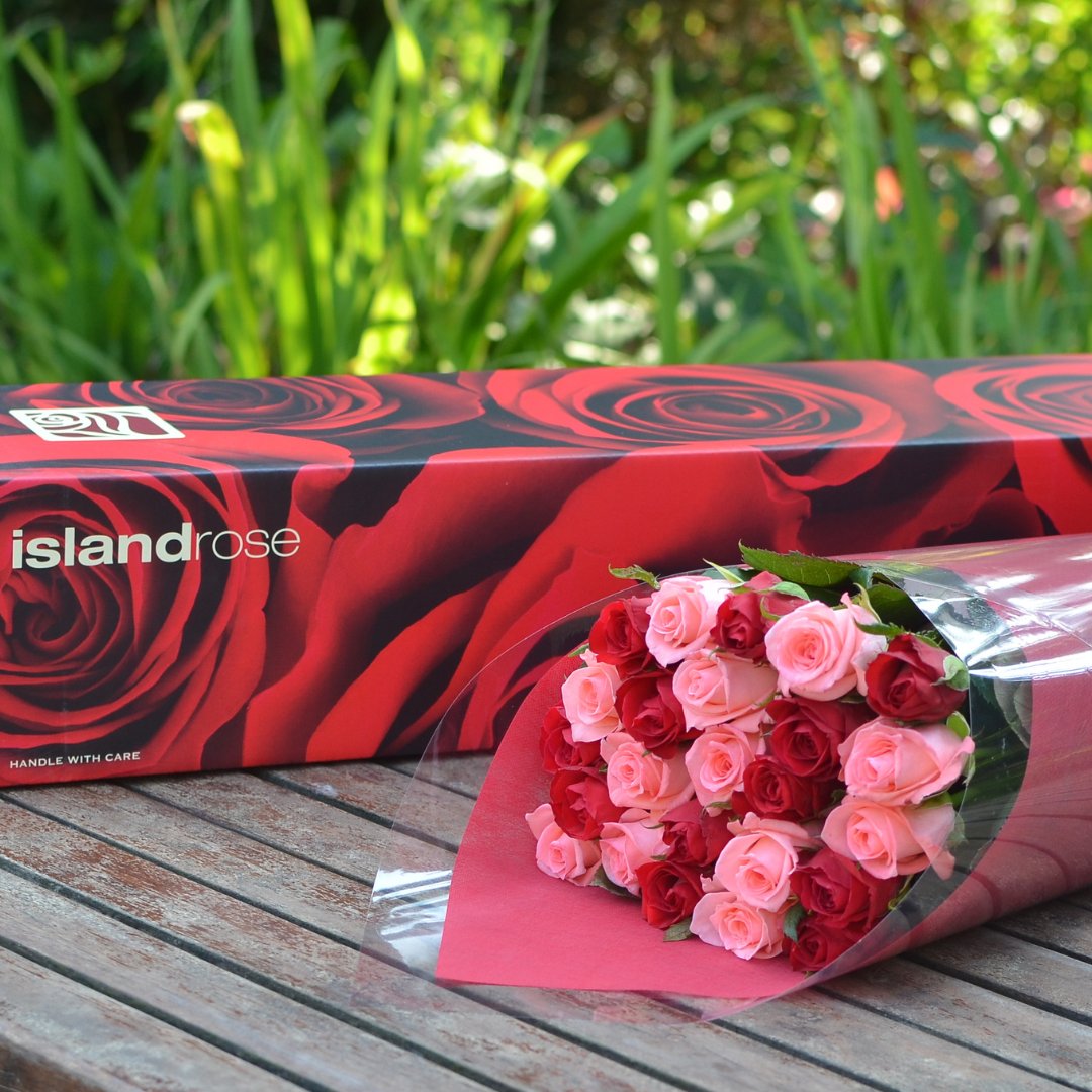 IslandRose's tweet photo. It’s the sweetest Mother’s Day gift. 😍 Shop for Mom before it’s too late! Go to https://t.co/WgIiM4zYWN now! https://t.co/rKAFABWJ7E
