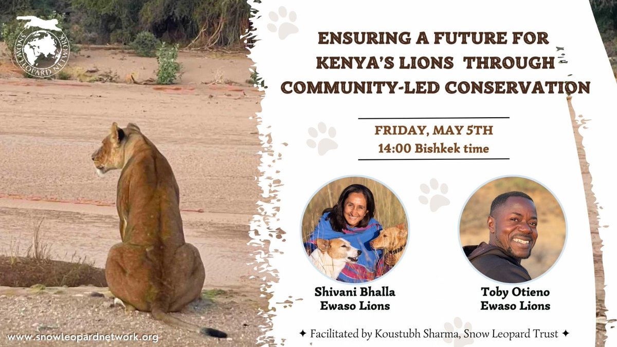 SnowLeopardNet's tweet photo. 📌 Join us on Friday, 5th May, 14:00 (Bishkek time) to meet & interact with Shivani Bhalla, 2023 #WhitleyGoldAward & Director of Impact & Operations, Toby Otieno @EwasoLions!
🌐 https://t.co/tmEG6k61Bs #coexistence #scicomm https://t.co/eva9owF1tp