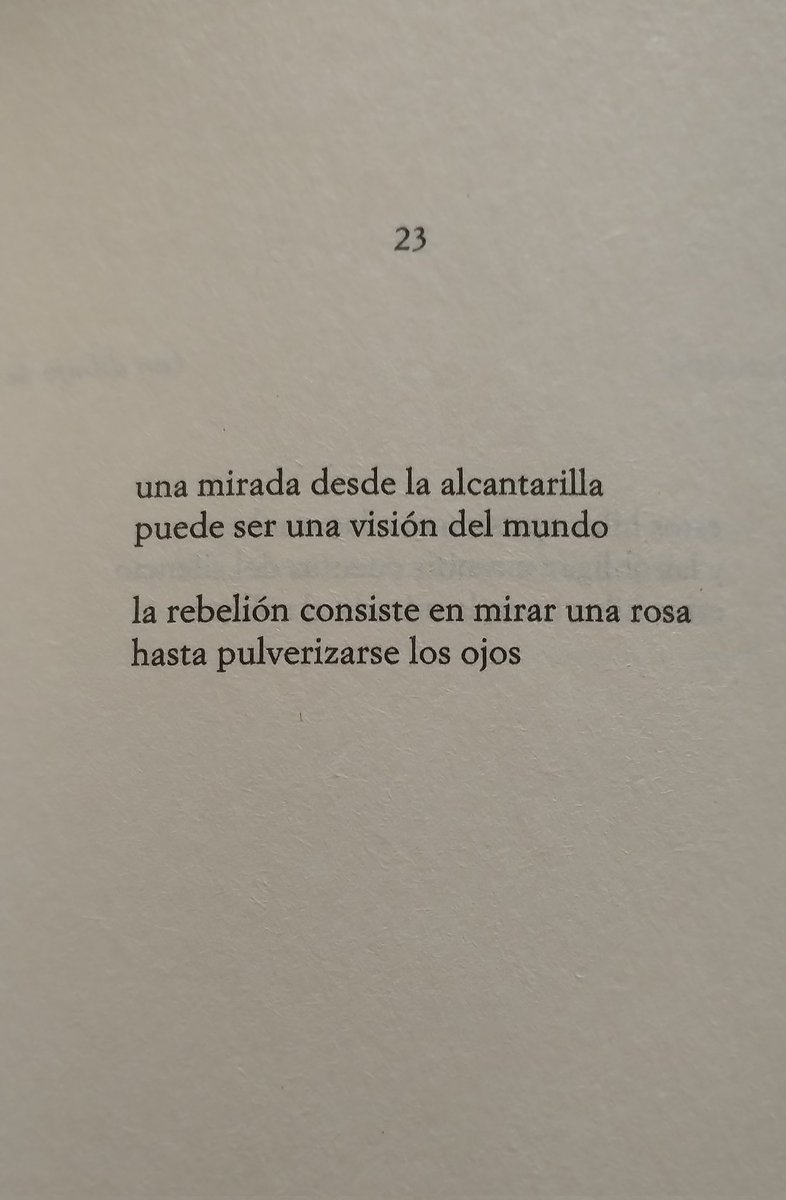 AlexOrfeo's tweet photo. El 29 de abril de 1936 nacía ella, Alejandra Pizarnik. En la calma de la noche dejo que su soledad acompañe a la mía.

Alejandra Pizarnik
Textos tomados del libro “Poesía completa”.

@pizarnik_bot 
@Pizarnikdice 
@pizarnikvive 

#AlejandraPizarnik 
#Poesia 
#Poetry 
#Pizarnik https://t.co/Stsa7nHbWH