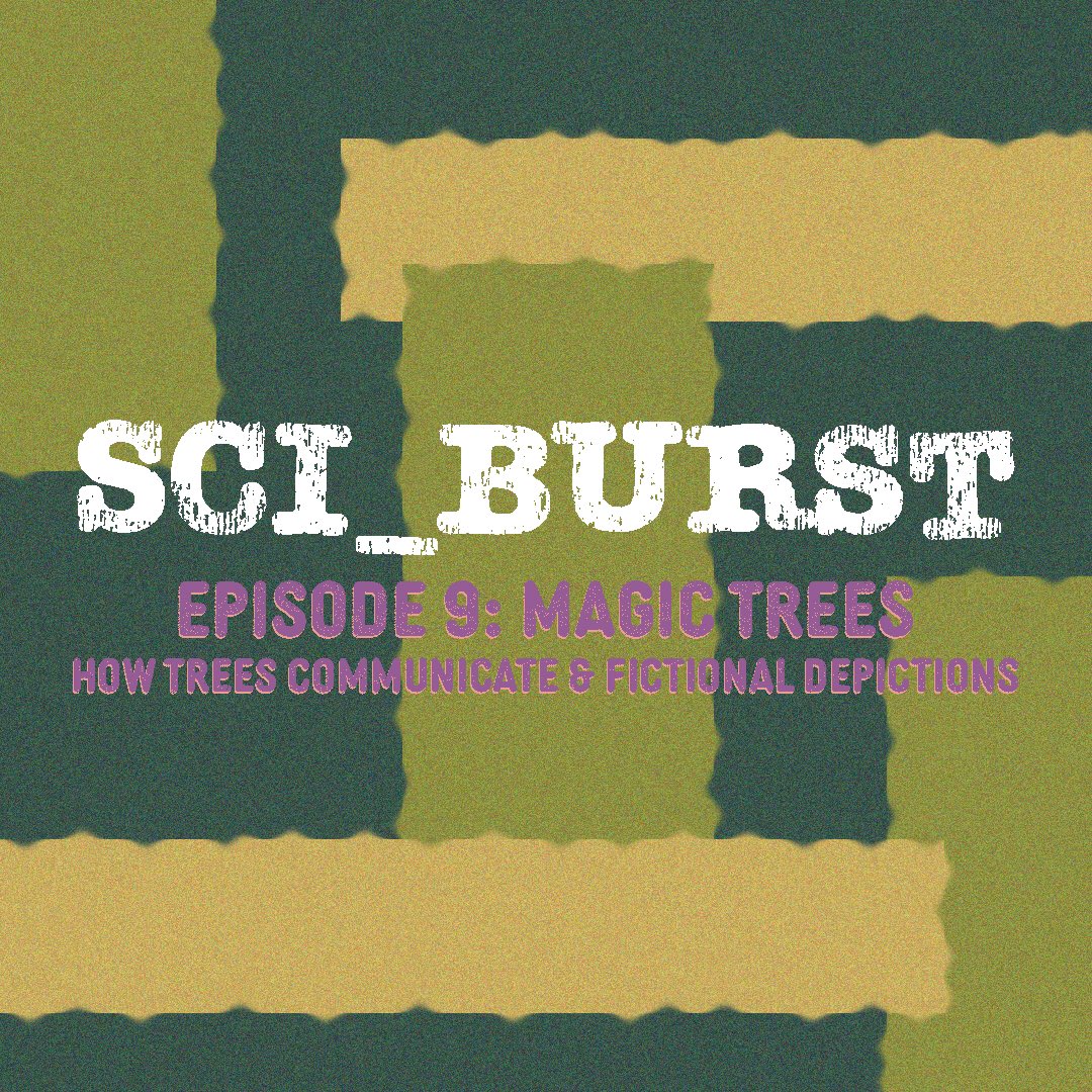 Sci_Burst's tweet image. Enter a #forest wonderland with us &amp;amp; discover the magic of #trees 🌳🌲 #forestscience is the star of this episode and, spotlighting @PeterWohlleben’s #thehiddenlifeoftrees, we discuss how trees communicate and feel &amp;amp; their symbolism in fiction books 📚 

#sciencepodcast #scicomm