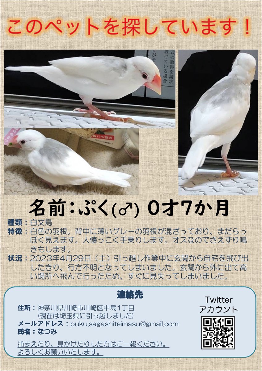puku_search's tweet photo. 昨日神奈川県川崎市で迷子になった白文鳥を探してます。
保護された方、見かけた方、些細なことでも結構ですのでご連絡頂けますと幸いです。

#迷子鳥
#迷い鳥
#文鳥
#白文鳥 
#拡散希望
#神奈川
#川崎
#川崎市
#川崎区
#中島
#中島1丁目

https://t.co/LrH0j9d6Wh https://t.co/WwNYgBxear