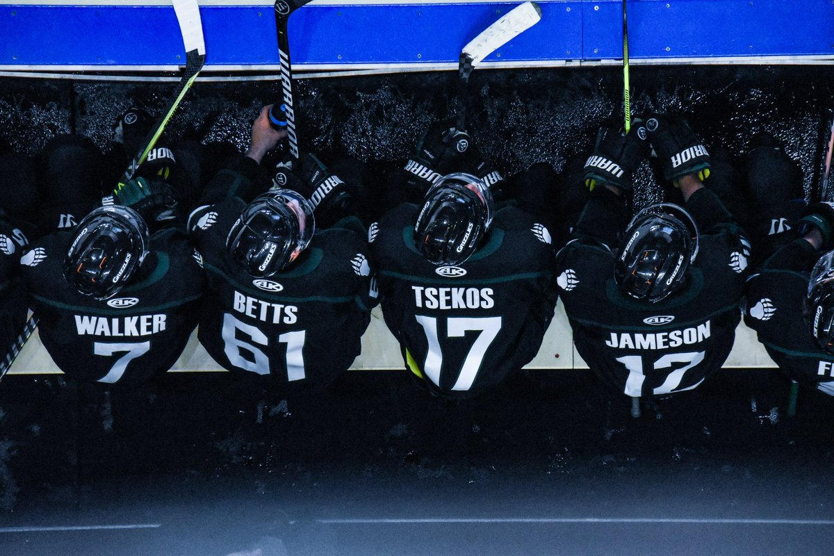 UtahGrizzlies's tweet photo. Views from the Mav 📸 https://t.co/4o7zXSw2Di