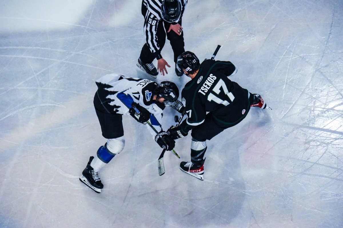 UtahGrizzlies's tweet photo. Views from the Mav 📸 https://t.co/4o7zXSw2Di
