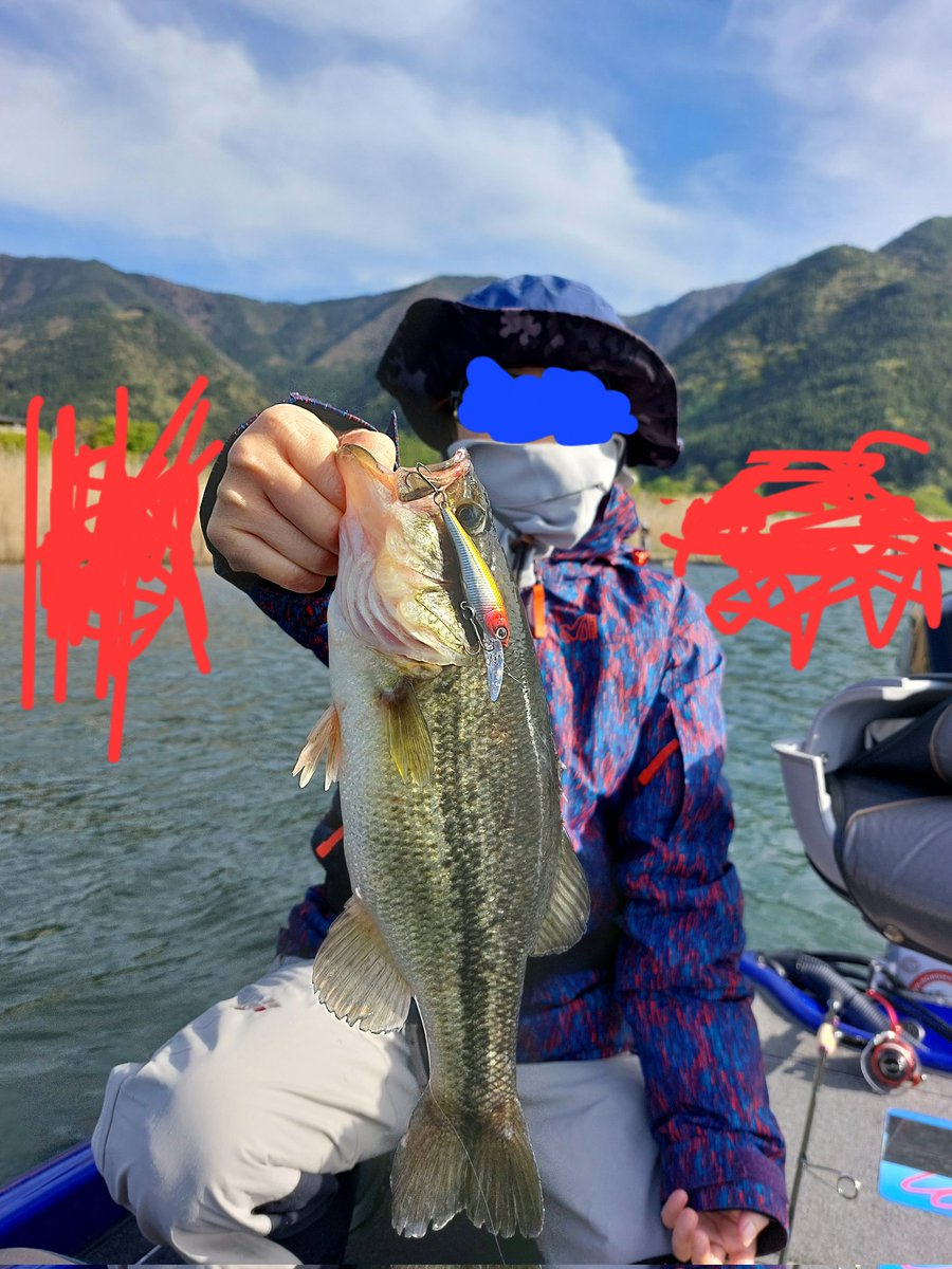 SHINGOSHAD's tweet photo. ゲスト様募集中～(^-^)
河口湖5月
1日
4日
6日
#しんごがいどさーびす
春爛漫の河口湖バスフィッシングで思い出に残る楽しい１日にします(^-^ゞ
#河口湖ガイド　
#ゴールデンウィーク河口湖　
#バスフィッシング https://t.co/5l2JfIN0uV