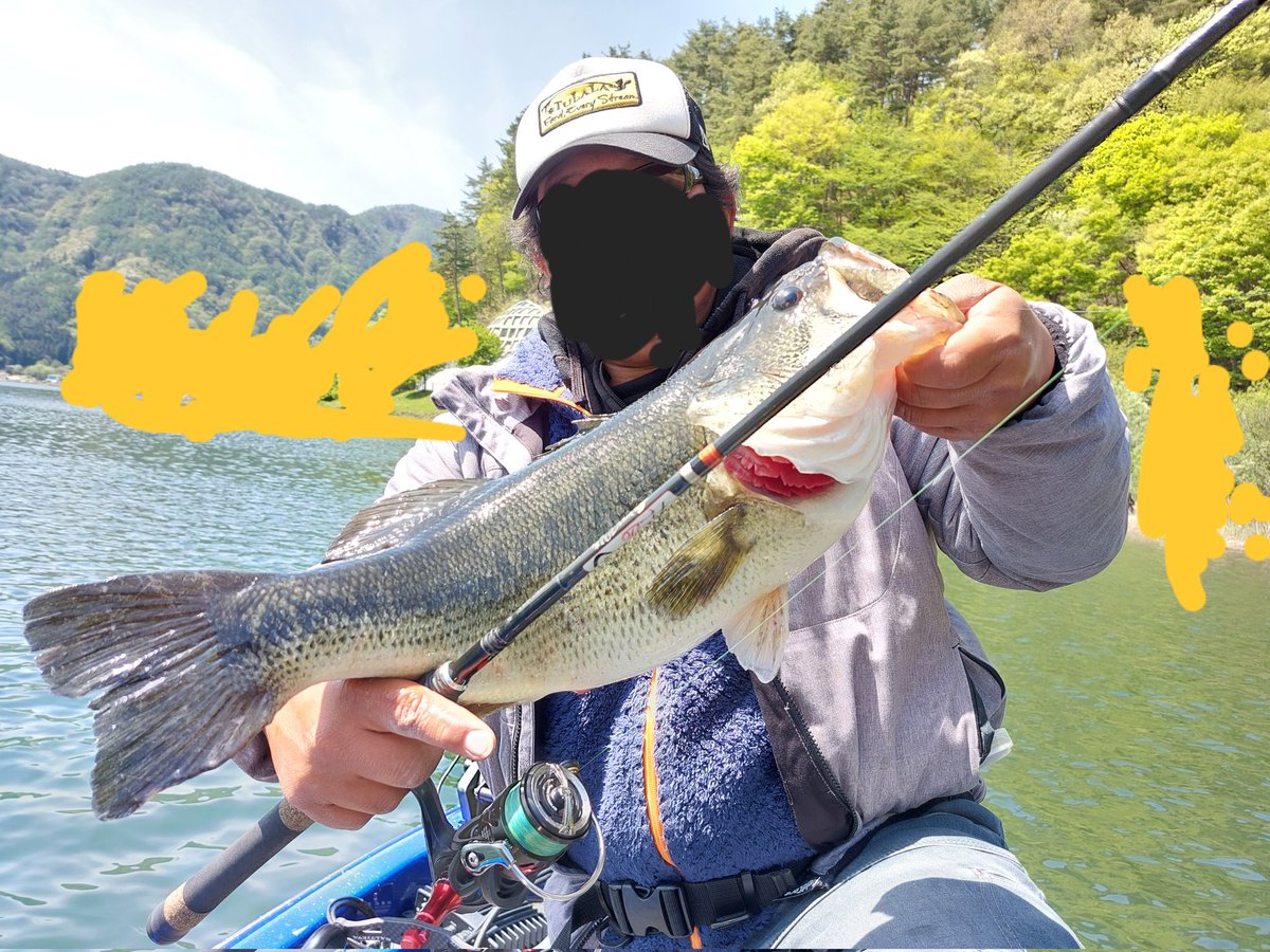 SHINGOSHAD's tweet photo. ゲスト様募集中～(^-^)
河口湖5月
1日
4日
6日
#しんごがいどさーびす
春爛漫の河口湖バスフィッシングで思い出に残る楽しい１日にします(^-^ゞ
#河口湖ガイド　
#ゴールデンウィーク河口湖　
#バスフィッシング https://t.co/5l2JfIN0uV