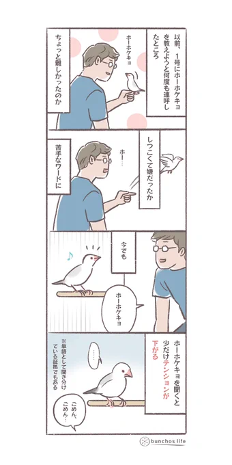 昨日も触れたホーホケキョは以前から苦手な言葉でもある
#文鳥 
#4コマ漫画 

*過去作ダウンロードできます!(固定ツイート参照) 