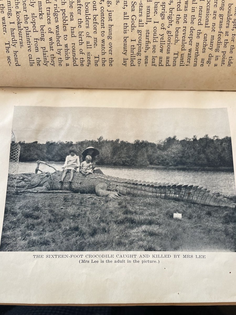 Nowayknown51's tweet photo. @BazzaCC Your pic reminded me of one in an old book (Fangs of the Sea - Norman Caldwell 1936). owned by my father that I have. Taken in the Whitsundays - the  Mrs Lee in pic was wife of Boyd Lee, who lived on Grassy Island, was a pro net fisherman back then. https://t.co/hsDVVTtShJ