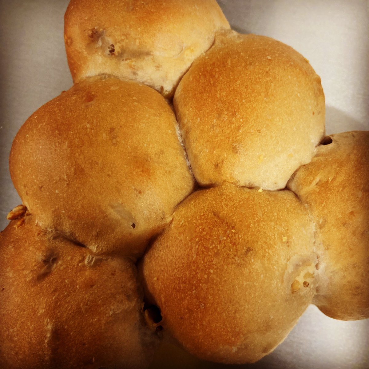 JOIN_Cafe's tweet photo. くるみちぎりパン焼けました🔥 https://t.co/SbAJAb6mAl