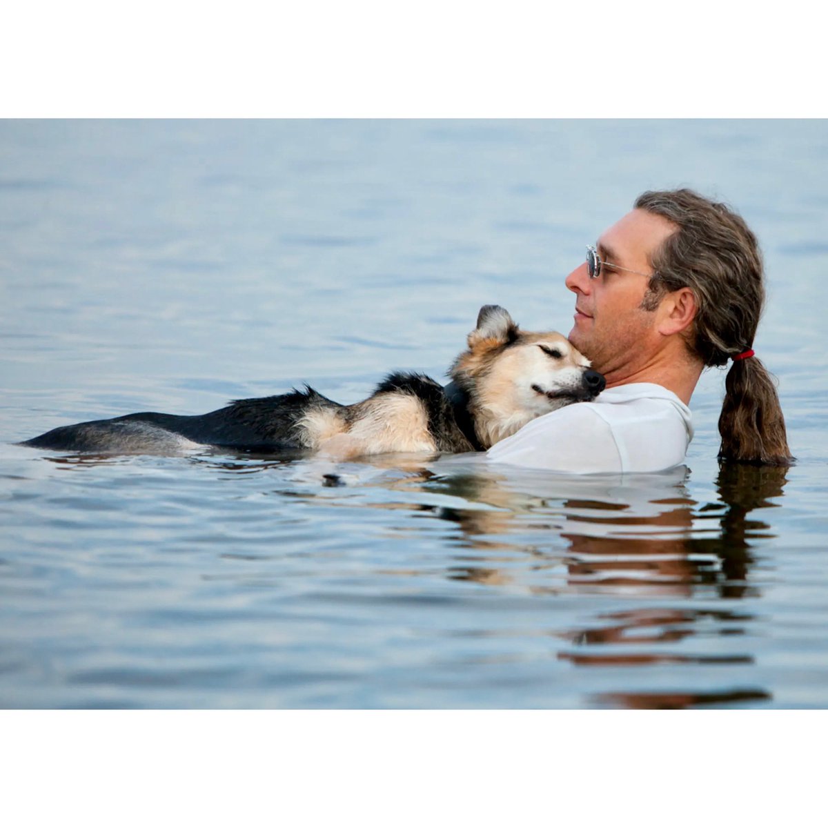 goodnewsdog's tweet photo. In 2012, a man was captured floating his dog to sleep in Lake Superior. His dog had developed severe arthritis and had weeks to live.

He responded by taking him to the lake every day to help ease the pain in his final days. https://t.co/Grbemtl3Ti