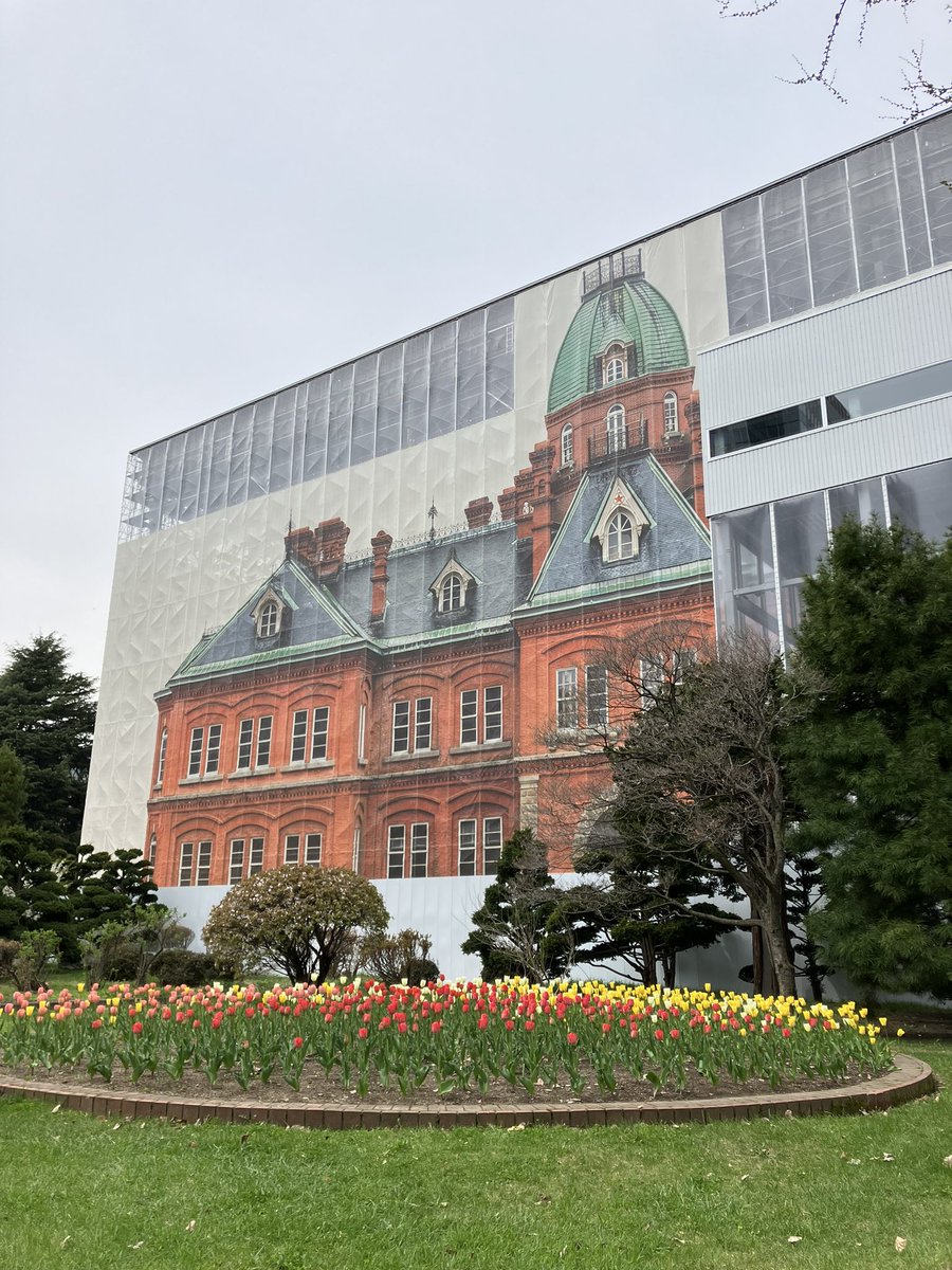 赤れんが、今改修中なのですが5/7から八角塔を見学出来るようです。改修後は近くで見れないので貴重な機会かも