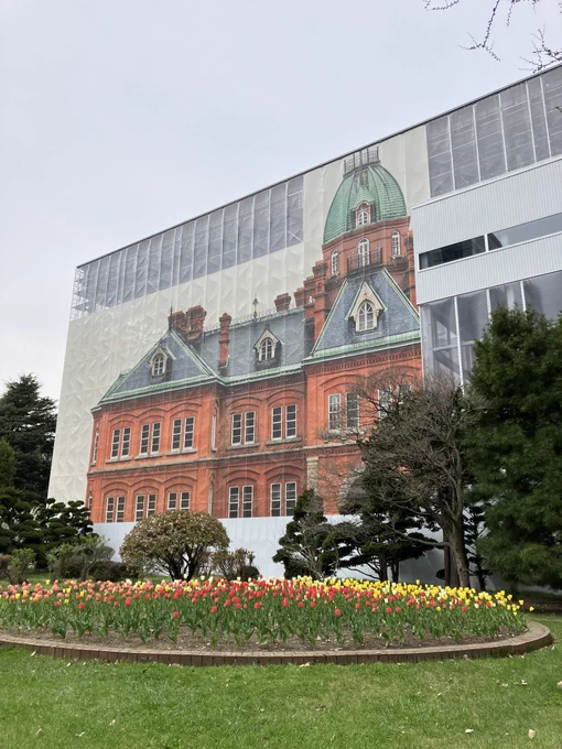 赤れんが、今改修中なのですが5/7から八角塔を見学出来るようです。改修後は近くで見れないので貴重な機会かも