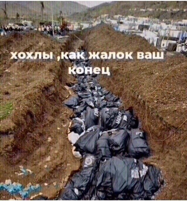 AleksandrMalee8's tweet photo. @yustas76 @Dialog_UA Сало в 💉💉💉кокоине, смерть хероям и нацизму https://t.co/mIxyHPjNn0