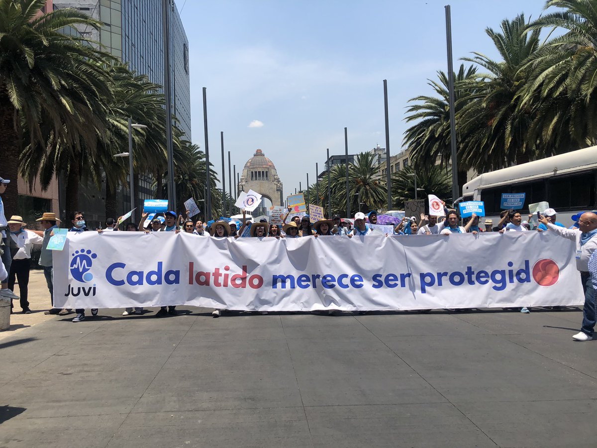 #MarchaVidaMx 💙