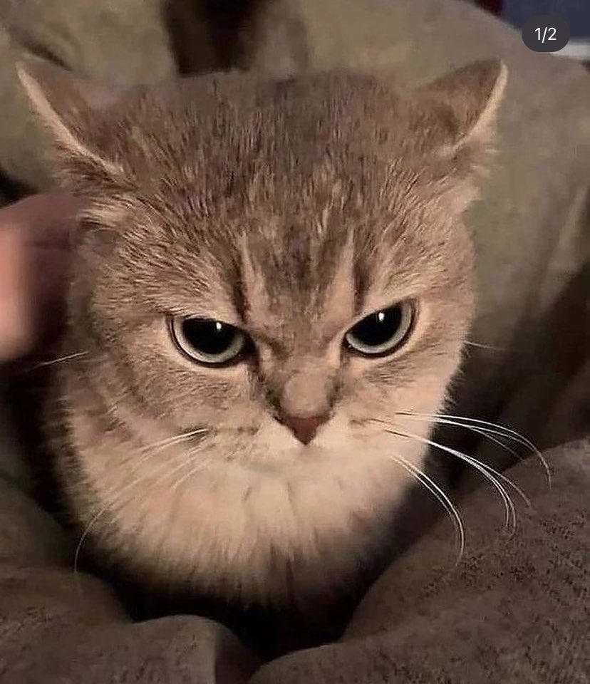 CluetheGamerYT's tweet photo. @eivorerin Huh cute https://t.co/WEWMLWgxKr