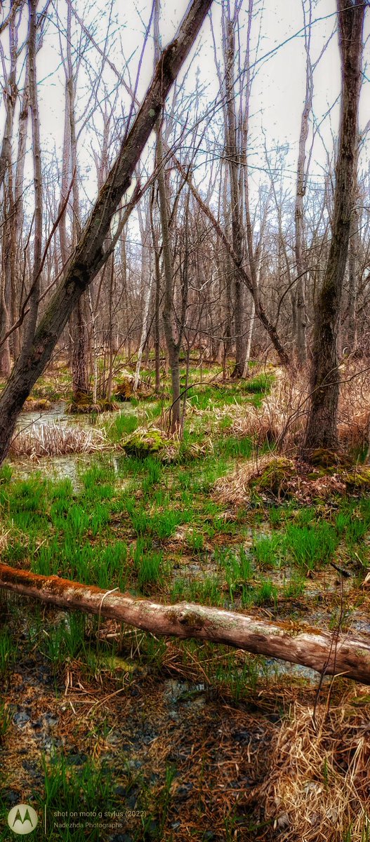 Ouradventures23's tweet photo. Went On A Nature Hike I'm Appleton, Wisconsin ❤️ Enjoying The Weather! 
#NaturePhotography #outdoorphotography #naturehike #Wisconsin https://t.co/3v4ltgEmng