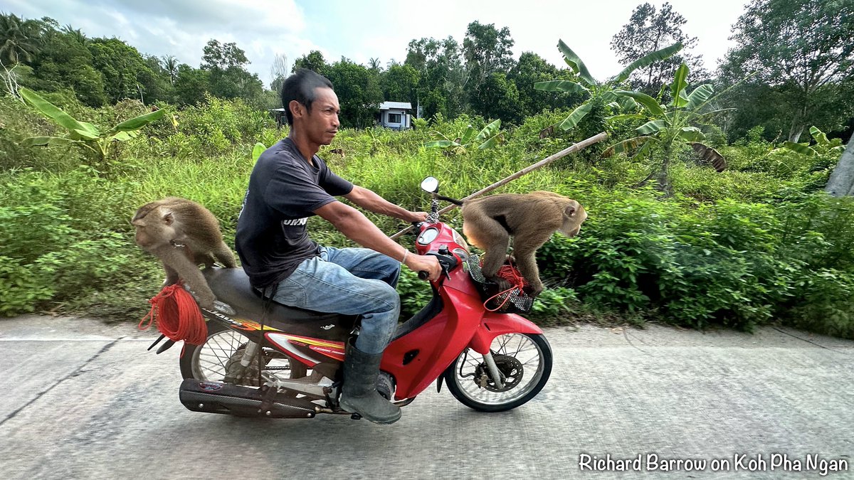 Richard Barrow tweet media