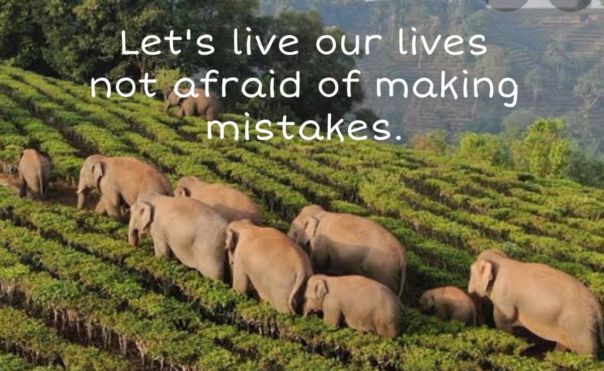 AggyMTDiff's tweet photo. Let’s live our lives not afraid of making mistakes… how much does this resonate with you😊? #HeartsHeadsHerds #ThinkBIGSundayWithMarsha https://t.co/XStW1maHBi