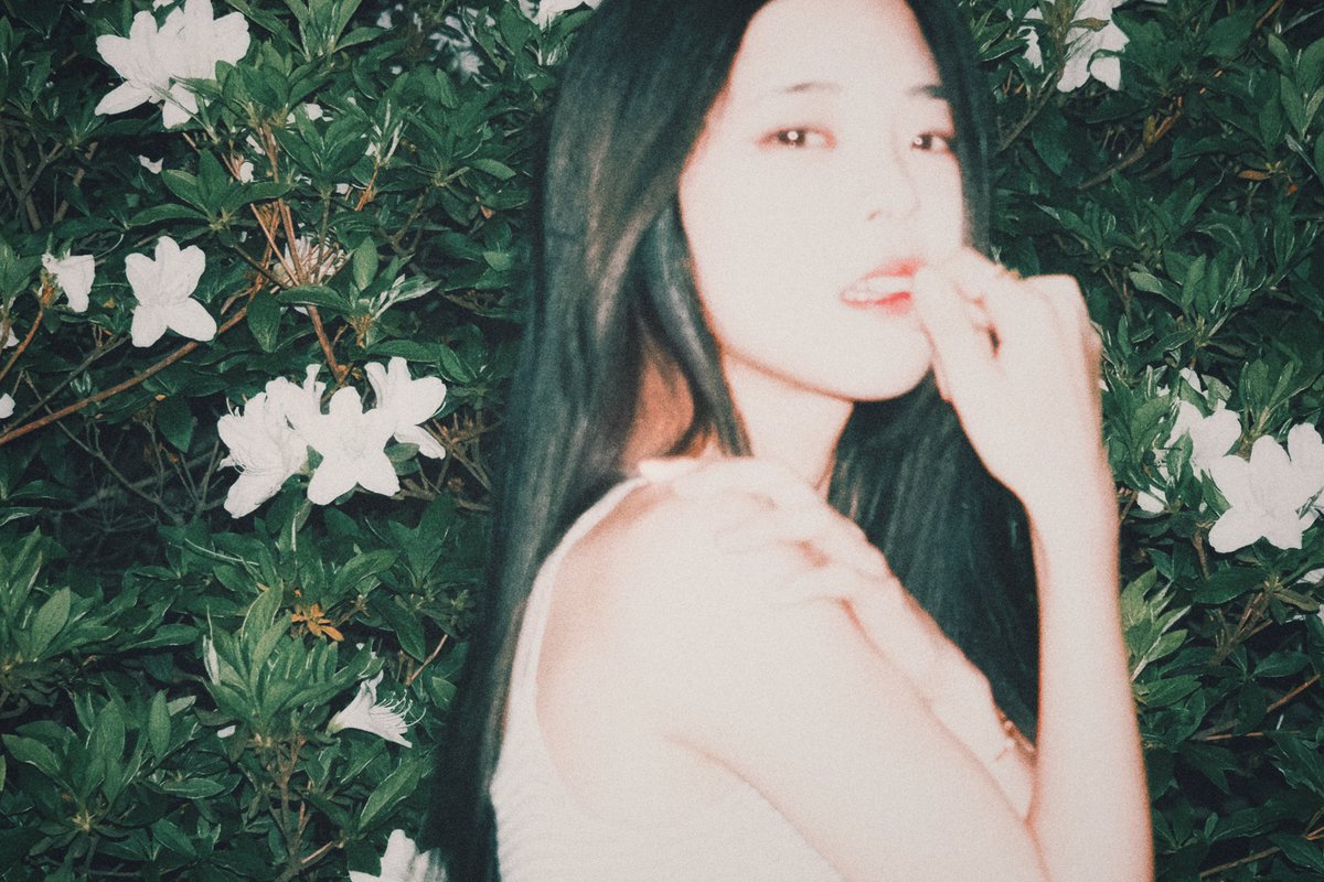📸✨🌸
