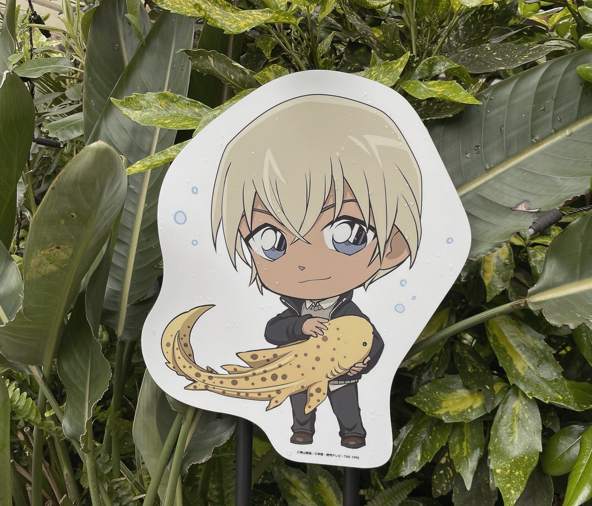 にゃろまぐ🎡 5/6東２せ27a tweet media