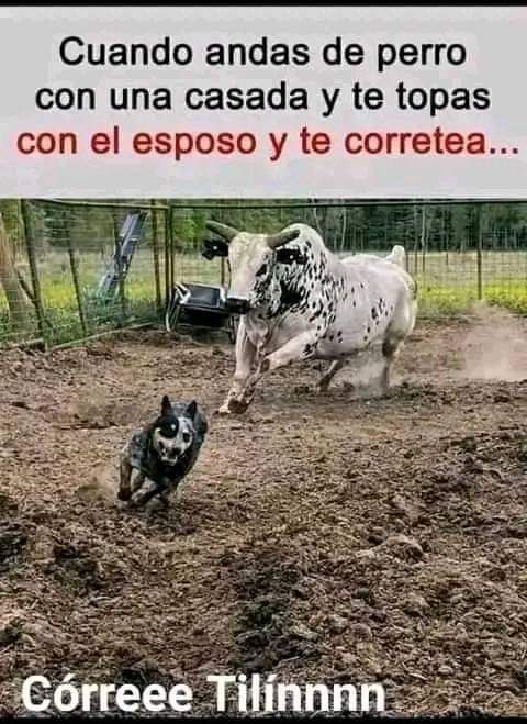 B_rbotas's tweet photo. Yo cuando andaba pegándole al verga con la esposa del compa Chencho https://t.co/hwqziMijZs
