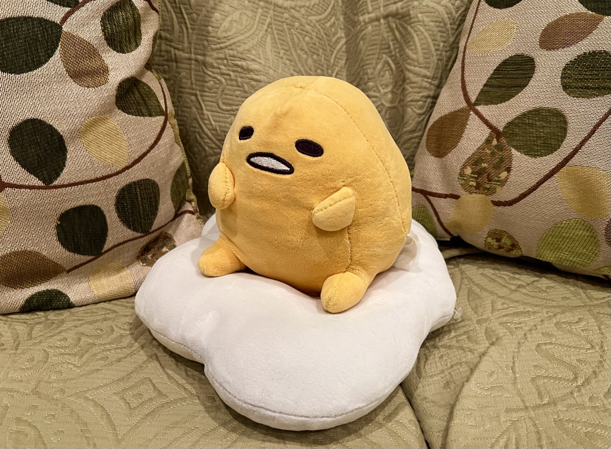 chefmaeda's tweet photo. and final comparison. i had a lot of fun bathing this pathetic thing https://t.co/fXJNJg6FGr