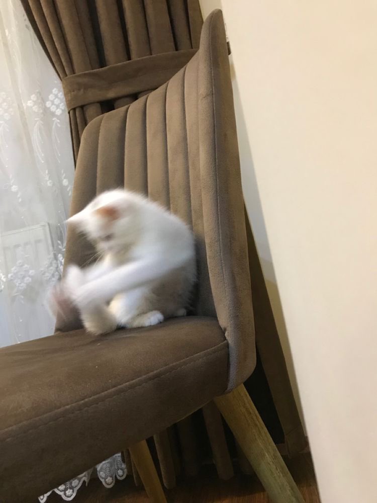 batteling  mine tale