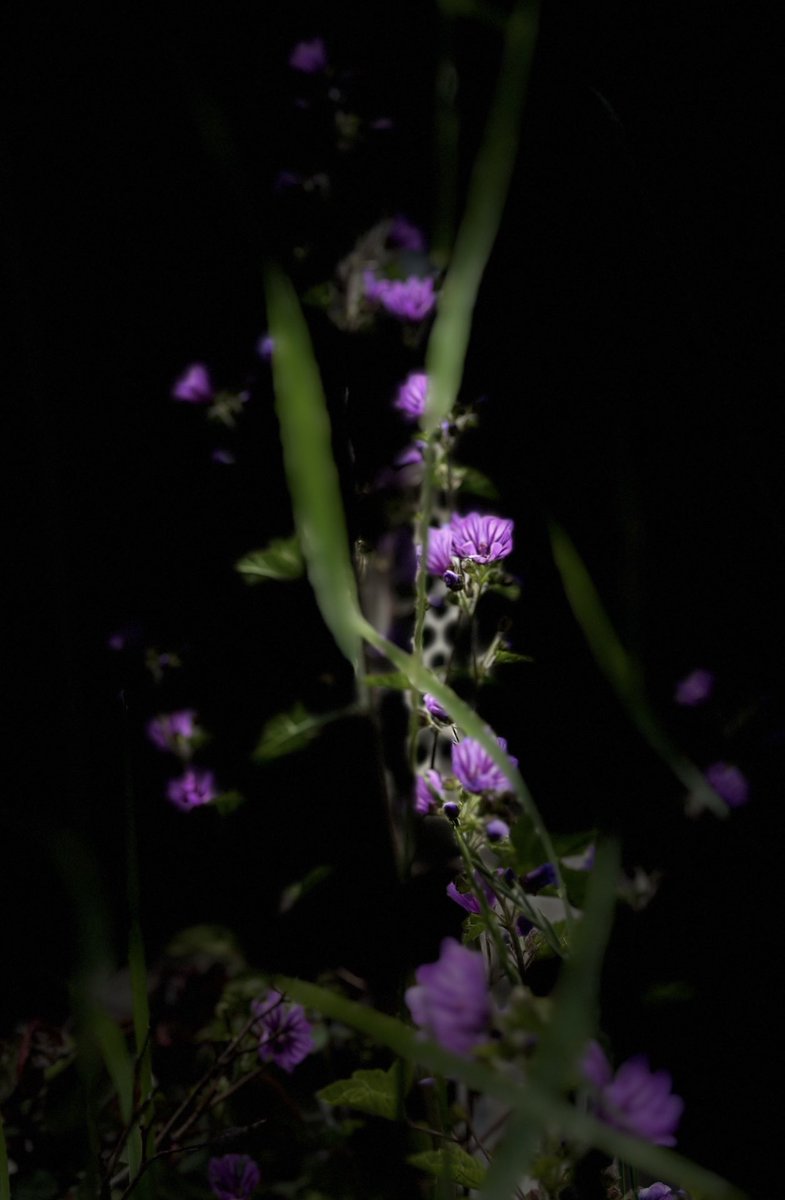 educationtr's tweet image. #April30th🌍