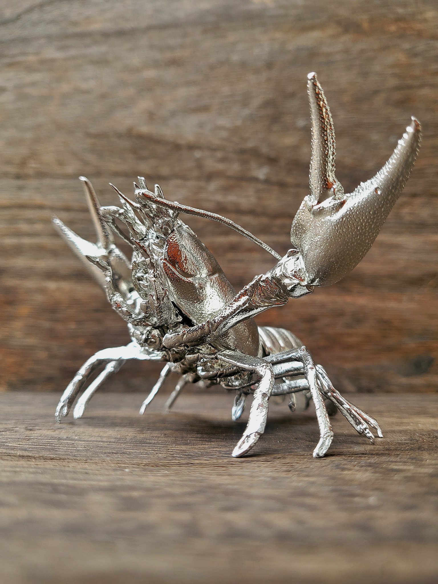 鰯金属化　イワシ金属化　イセエビ　伊勢海老　作品　フィギュア　置物　工芸 鰯金属化 イワシ金属化 イセエビ 伊勢海老 作品 フィギュア 置物 工芸
