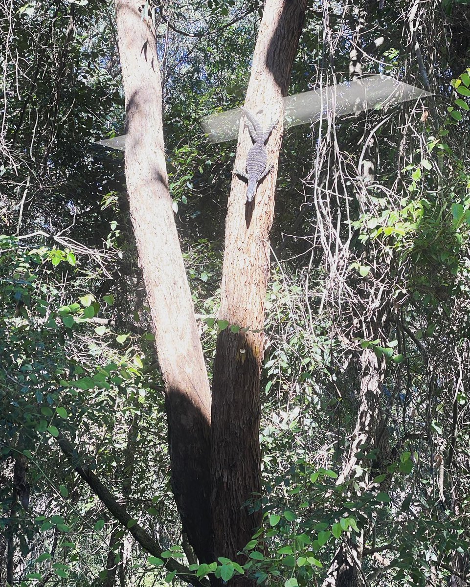 Dongjun Wu ⚙️🤖️🤝👴👵 tweet media