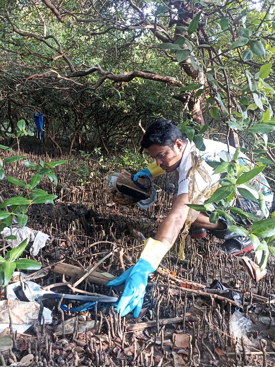 EnvironmentLife's tweet photo. Week 141 #MangrovesCleanupDrive

Mangroves provide ideal breeding grounds for much of the world's fish, shrimp, crabs, &amp;other shellfish.
Looking into importance #MangroveSoldiers r working to clear manmad mess around the roots.
Stop Littering, adopt sustainable.

@MangroveForest https://t.co/xKjcLJ8eST