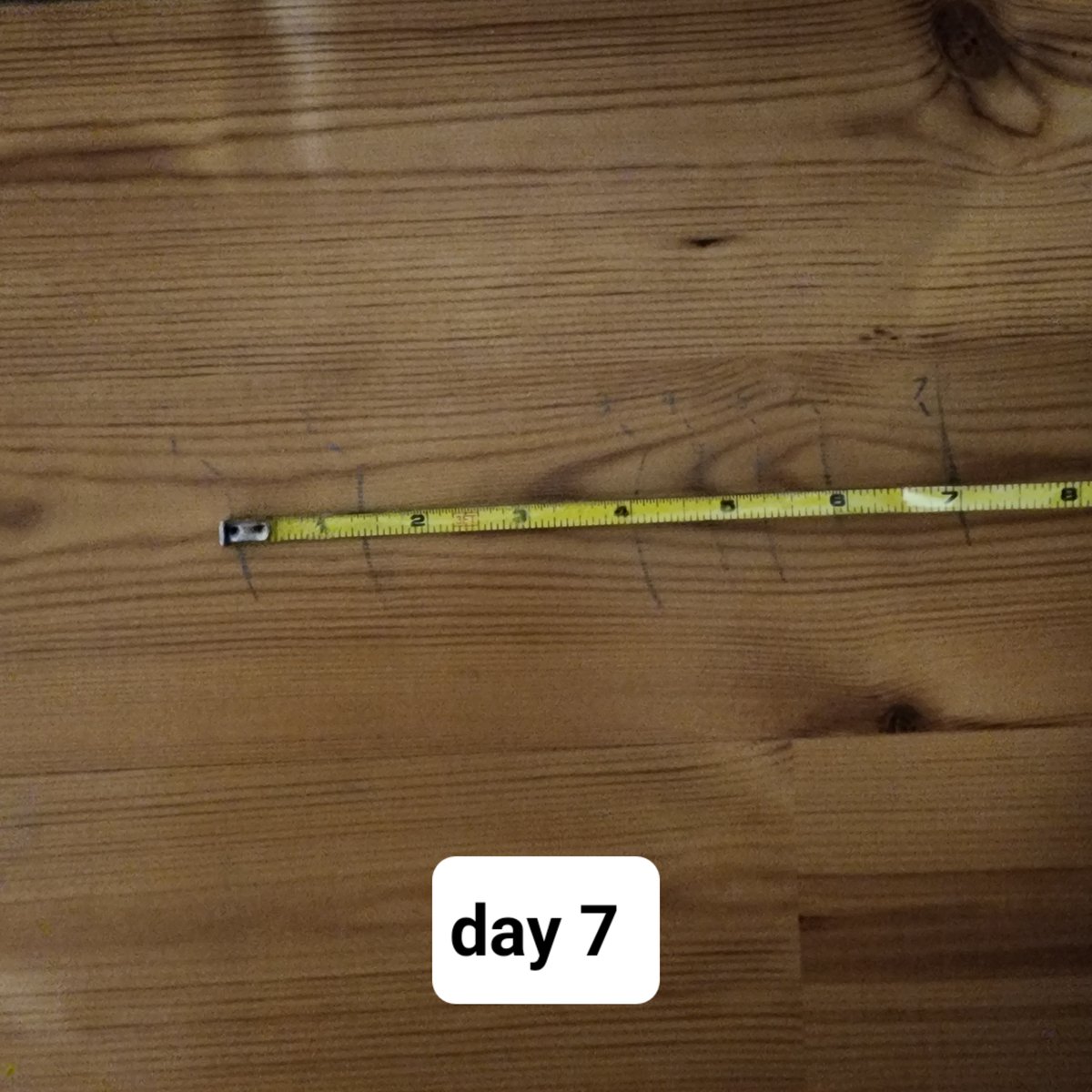 urstraighteight's tweet photo. Day 7 splits progress. Really starting to feel the soreness!

#stretching #flexibility #splits #splitsprogress #splitsjourney #splitschallenge #yogaeverydamnday #yogalife #yogainspiration #yogaeverywhere #yogalove #yogapractice #yogachallenge #yogajourney #fitnessmotivation https://t.co/1LPPGEWJEZ