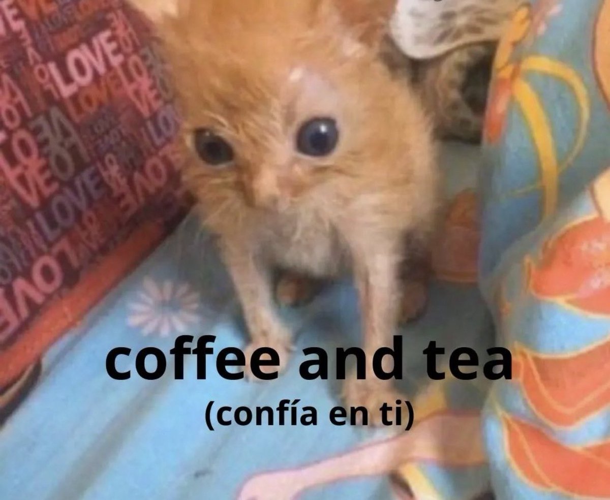 _Yennifert_'s tweet photo. Número 1 en traducciones gracias por leer https://t.co/VL9YeOgGsI