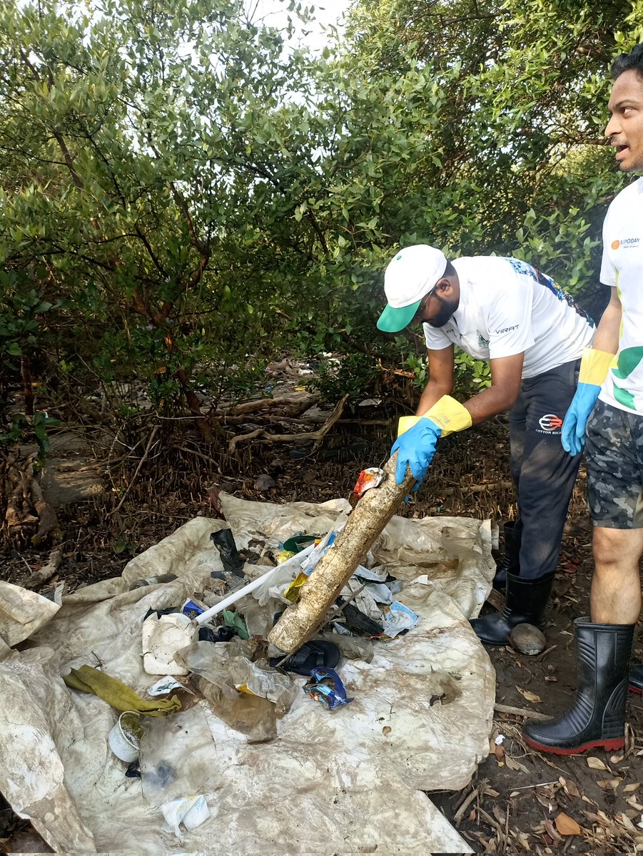 EnvironmentLife's tweet photo. Week 141 #MangrovesCleanupDrive

Mangroves provide ideal breeding grounds for much of the world's fish, shrimp, crabs, &amp;other shellfish.
Looking into importance #MangroveSoldiers r working to clear manmad mess around the roots.
Stop Littering, adopt sustainable.

@MangroveForest https://t.co/xKjcLJ8eST