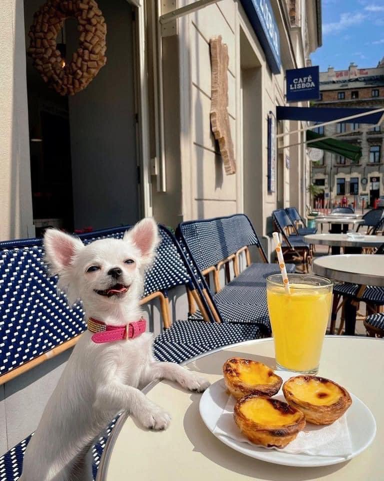 Film Trauma Podcast tweet media