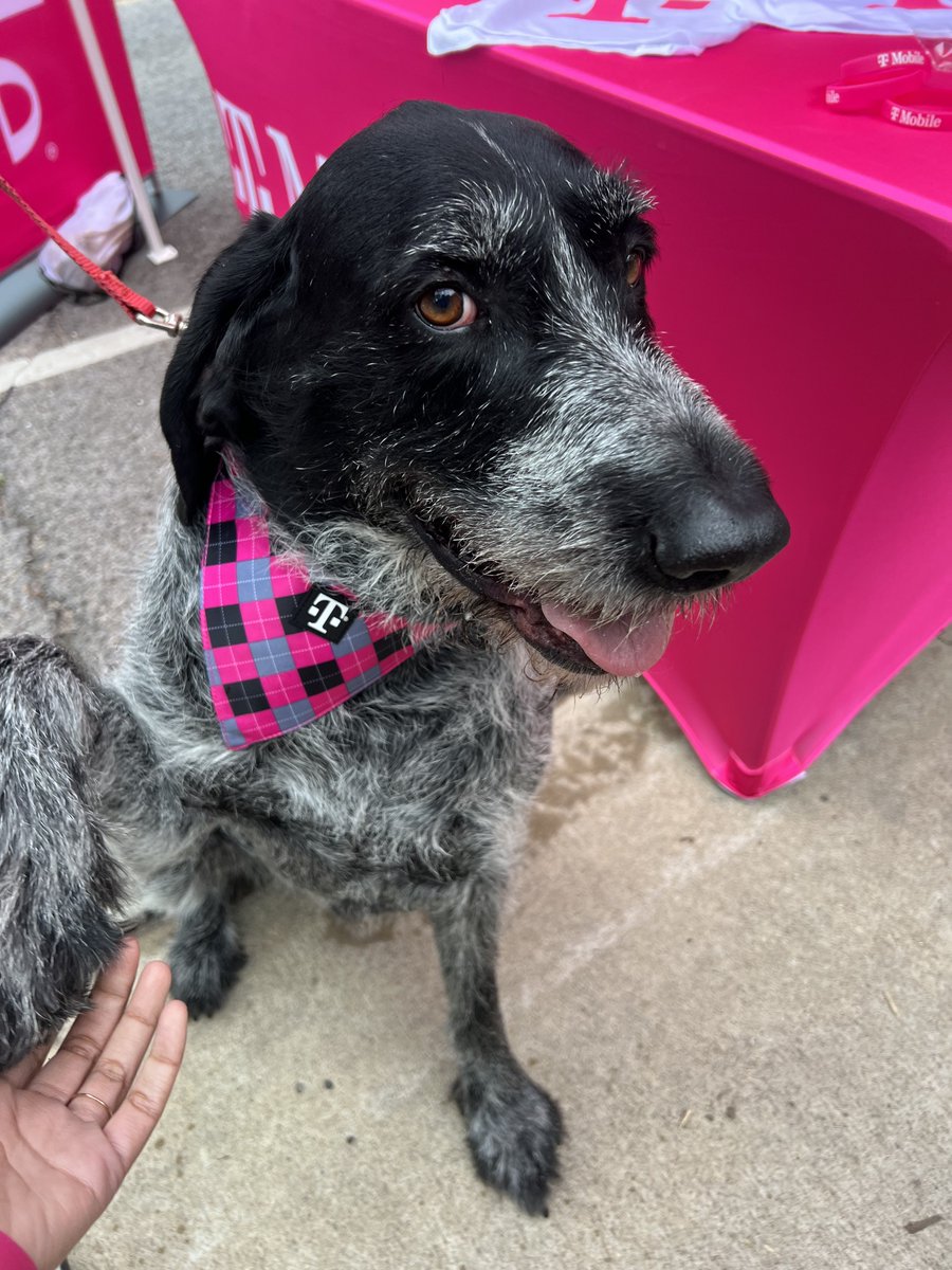 🏳️‍🌈Stephen Johel Rincon (he him his) tweet media