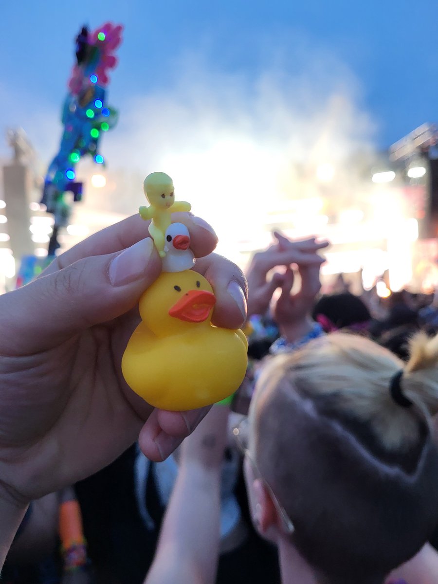 Justinn_L's tweet photo. Duck duck baby https://t.co/iaEy2qrfTy