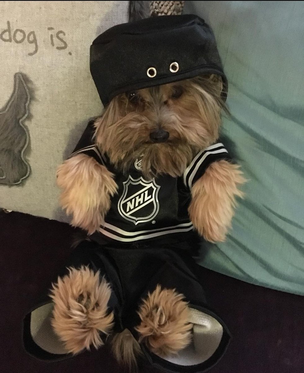 OILanatude's tweet photo. Reffing tonight for the @EdmontonOilers game has been a complete joke @NHL! I think it's time we bring in the big guns cuz I'm sure she could do it better! #letsgoooilers https://t.co/mgMNvaMwx2
