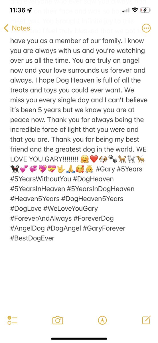 SpongeBobAlways's tweet image. Five whole years ago today, we said goodbye to Gary. April 29th, 2018 was one of the hardest days of my whole life. Gary, we love you so much and you are ALWAYS AND FOREVER IN OUR HEARTS!!!! 🤗❤️🐶🐾🐕🐩🦮🐕‍🦺💕💞💖💝🤟🙏🥰👼 #Gary #DogHeaven #5YearsInDogHeaven #BestDogEver