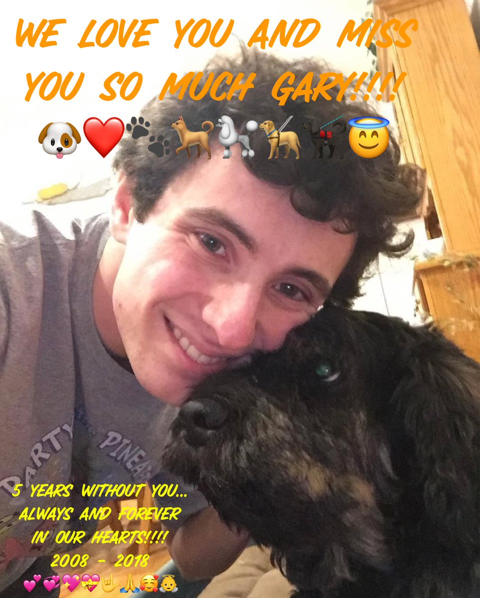 SpongeBobAlways's tweet image. Five whole years ago today, we said goodbye to Gary. April 29th, 2018 was one of the hardest days of my whole life. Gary, we love you so much and you are ALWAYS AND FOREVER IN OUR HEARTS!!!! 🤗❤️🐶🐾🐕🐩🦮🐕‍🦺💕💞💖💝🤟🙏🥰👼 #Gary #DogHeaven #5YearsInDogHeaven #BestDogEver